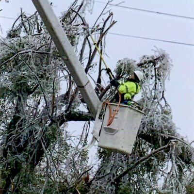 Tree services after storm in Tennessee Storm cleanup services in Dickson, Nashville, and Williamson Counties.